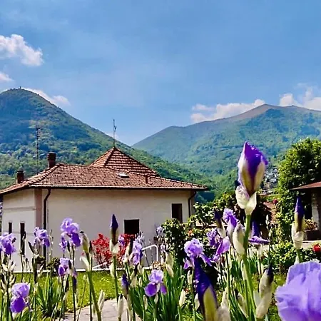 公寓 Oleandra With Garden&swimming Pool