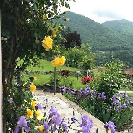 Oleandra With Garden&swimming Pool Apartman Dizzasco