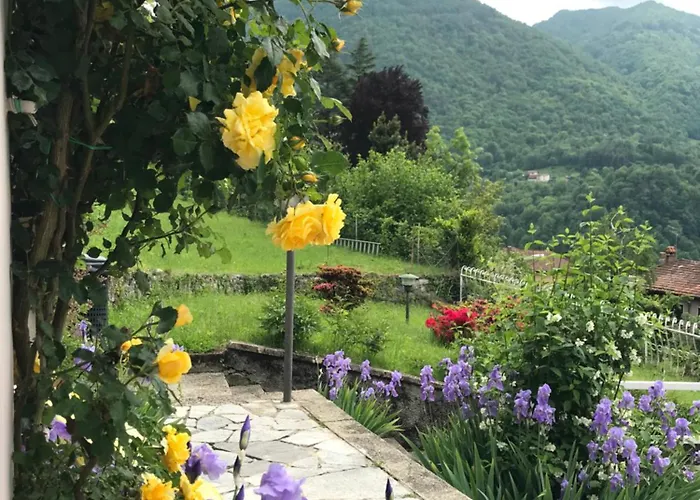 Oleandra With Garden&swimming Pool Lejlighed Dizzasco